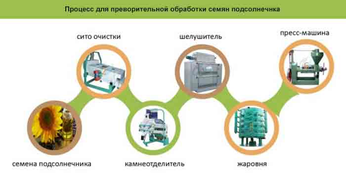 Процесс для преворительной обработки семян подсолнечнка