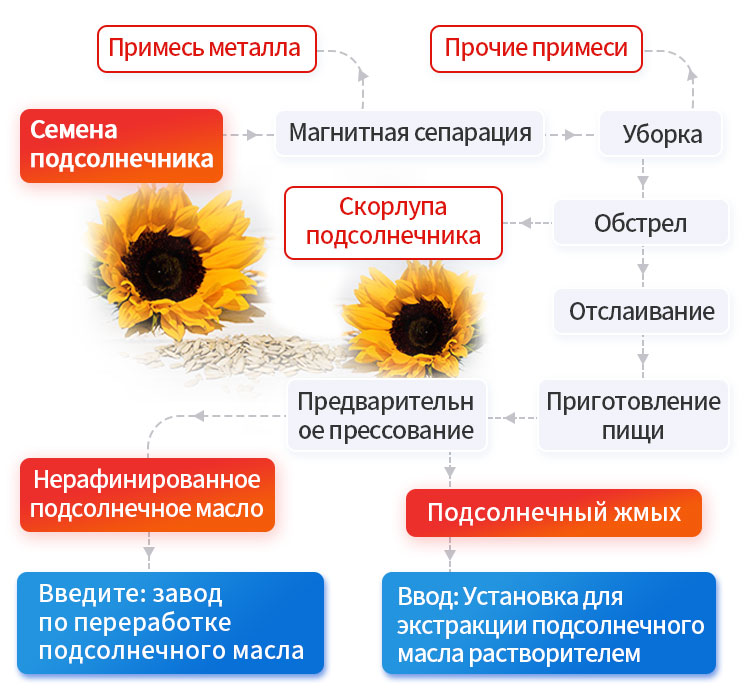 葵花籽预处理 - 副本.jpg