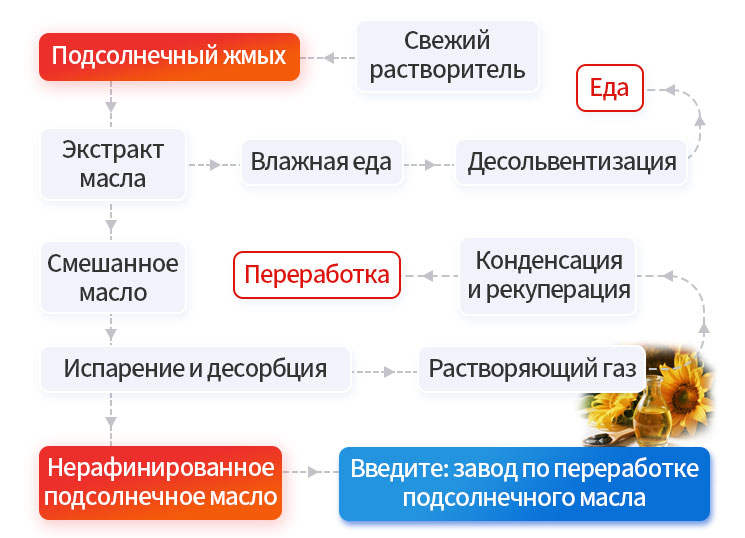 葵花籽浸出_01 - 副本.jpg