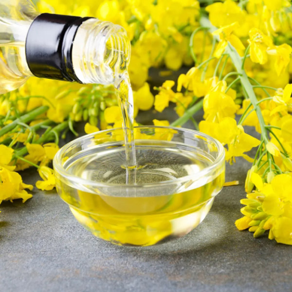 Оборудования И Производства Рапсового Масла