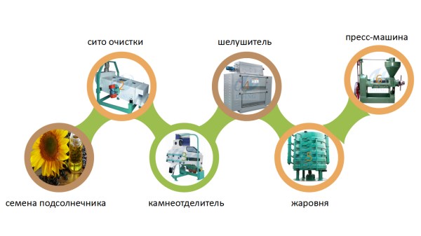 Процесс для преворительной обработки семян подсолнечнка