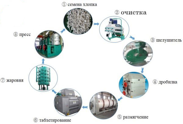 Процесс предварительной обработки семян хлопка